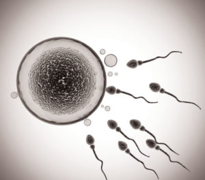 Things to know about IVF